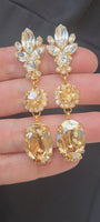CHAMPAGNE LONG EARRINGS
