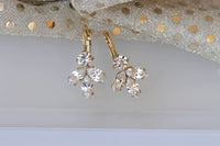 Clear Crystal Earrings