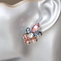 Blue Pink Earrings