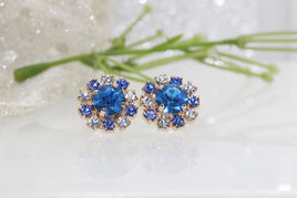 Blue White Earrings