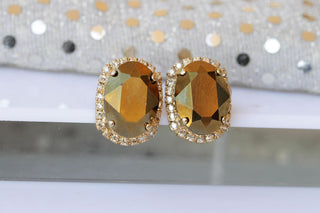 Bronze Earrings