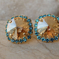 Champagne And Blue Stud Earrings