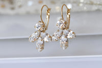 Clear Crystal Earrings