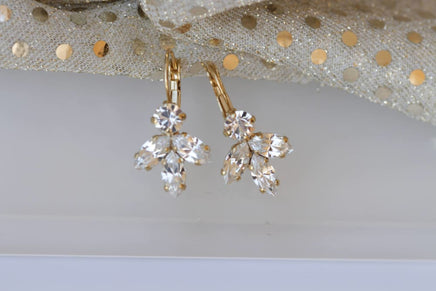 Clear Crystal Earrings