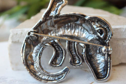 Lizard Brooch