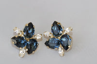 Montana Blue Earrings