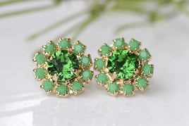 Olive Green Earrings