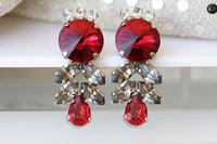 Red Grey Earrings