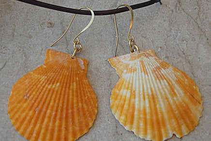 Shell Earrings